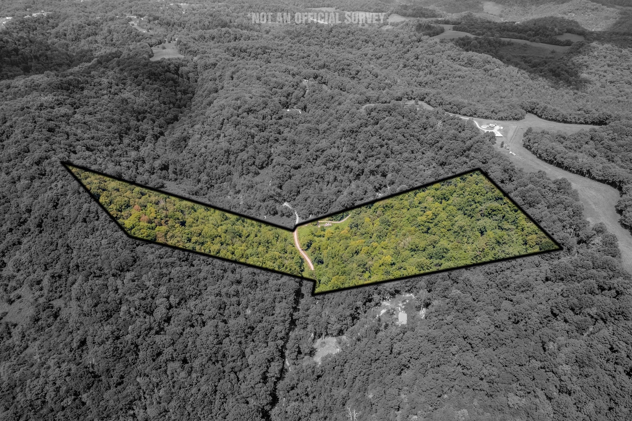 0 Watts Hollow Road Buffalo Valley TN 38548