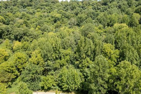 0 Watts Hollow Road Buffalo Valley TN 38548