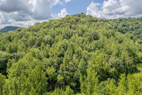 0 Watts Hollow Road Buffalo Valley TN 38548
