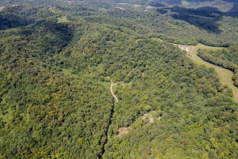 0 Watts Hollow Road Buffalo Valley TN 38548