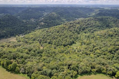 0 Watts Hollow Road Buffalo Valley TN 38548