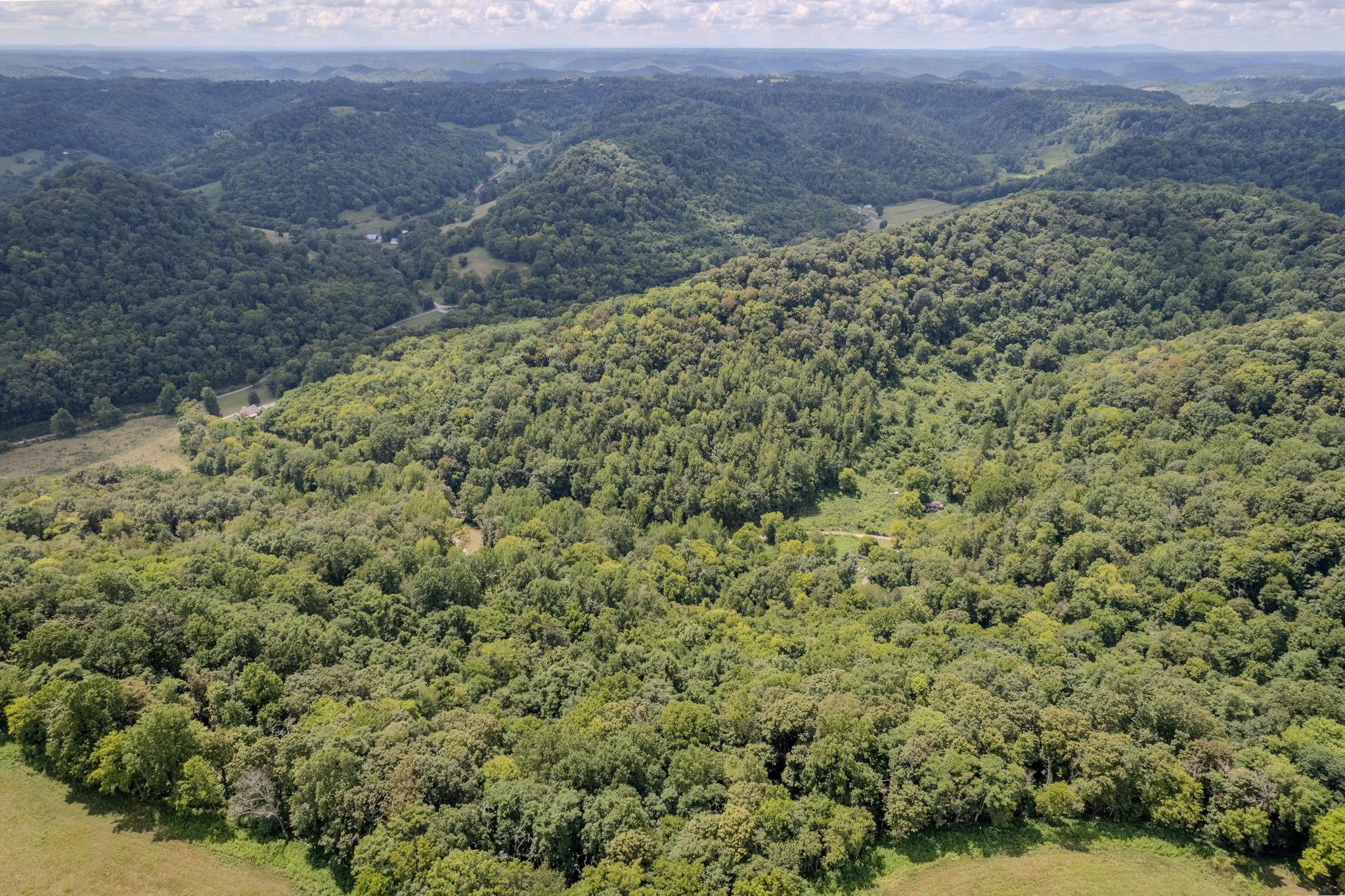 0 Watts Hollow Road Buffalo Valley TN 38548