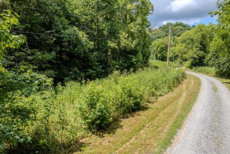 0 Watts Hollow Road Buffalo Valley TN 38548