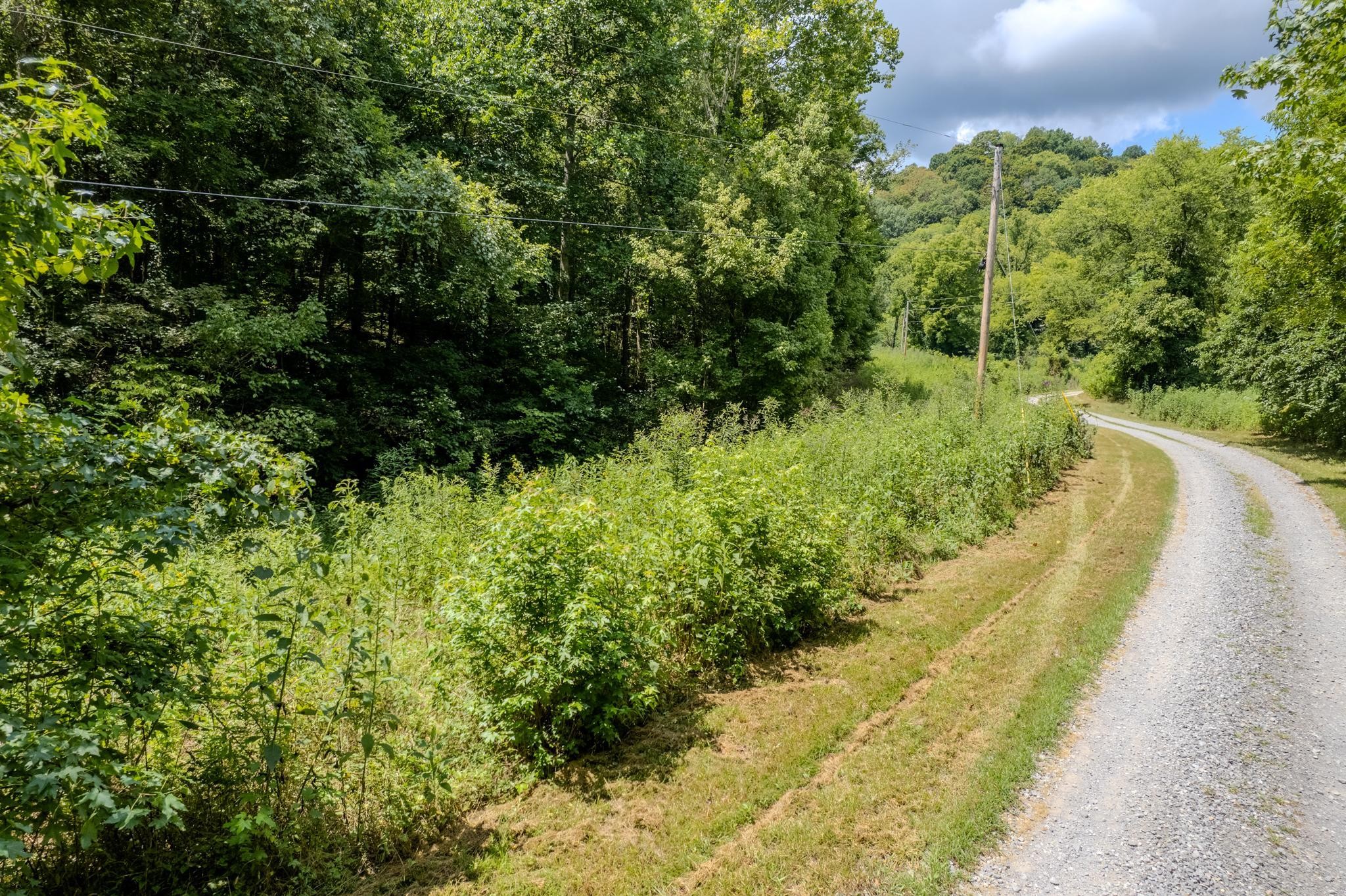 0 Watts Hollow Road Buffalo Valley TN 38548
