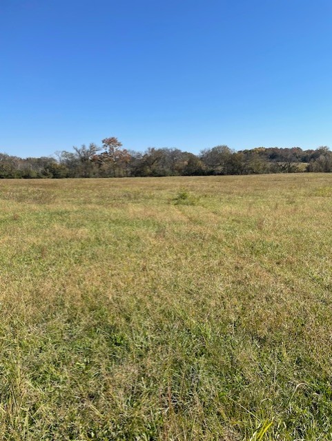 0 Old Nashville Dirt Road Shelbyville TN 37160