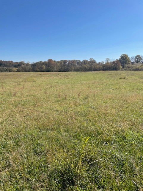 0 Old Nashville Dirt Road Shelbyville TN 37160