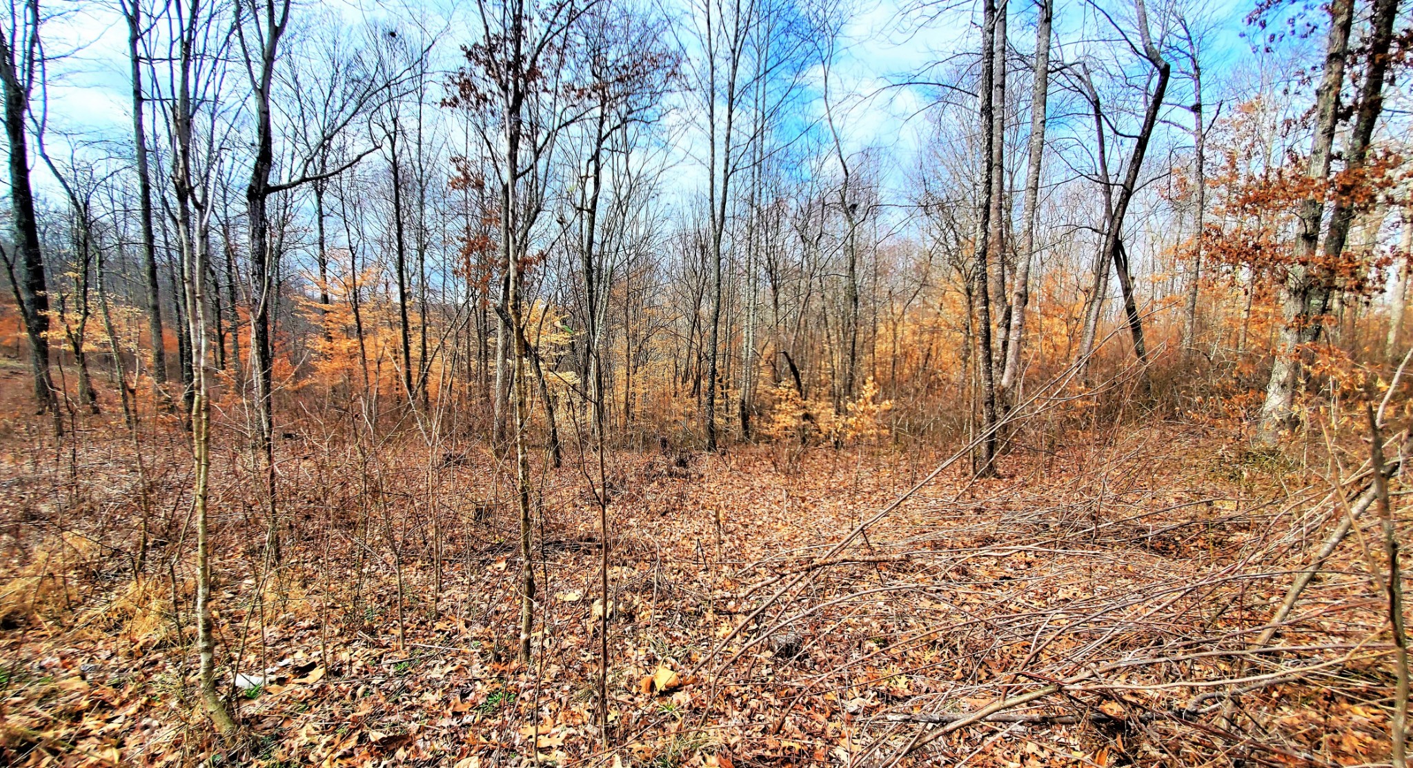 0 Preston Baggett Road Cumberland City TN 37050