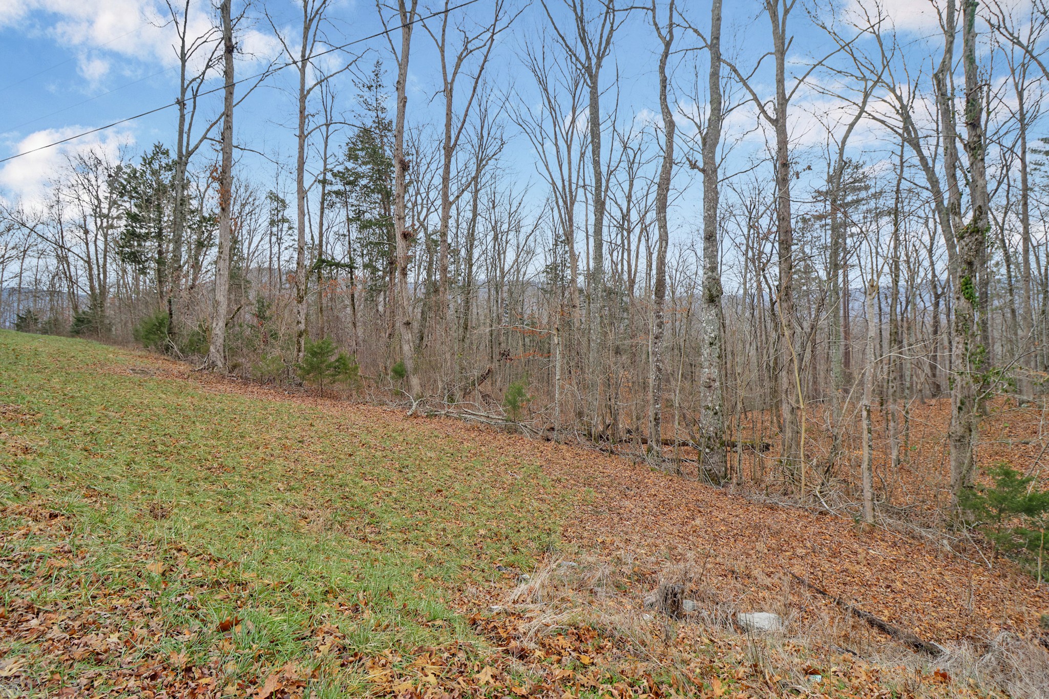 0 Cheyenne Drive Jamestown TN 38556