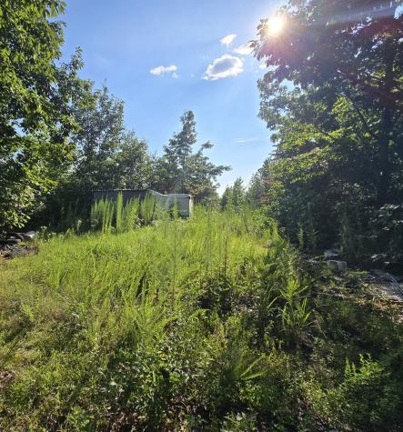 0 Buckfork Road Linden TN 37096