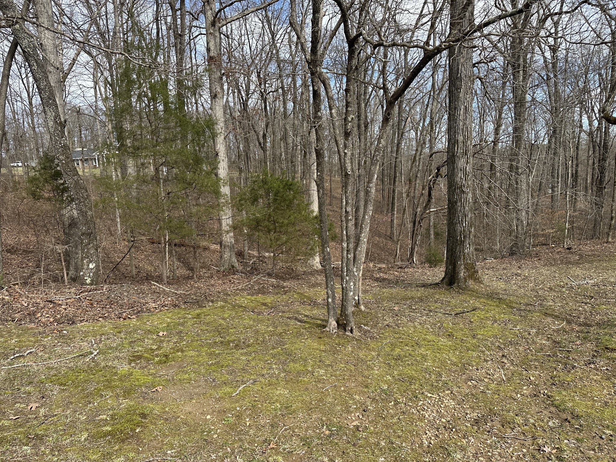 0 Rouse Road Dickson TN 37055