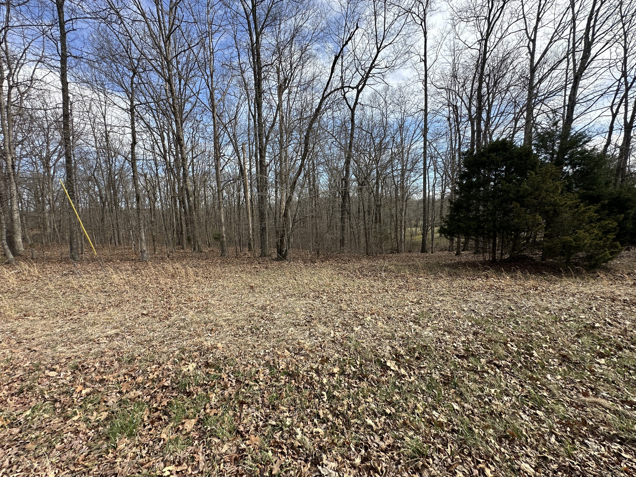 0 Rouse Road Dickson TN 37055