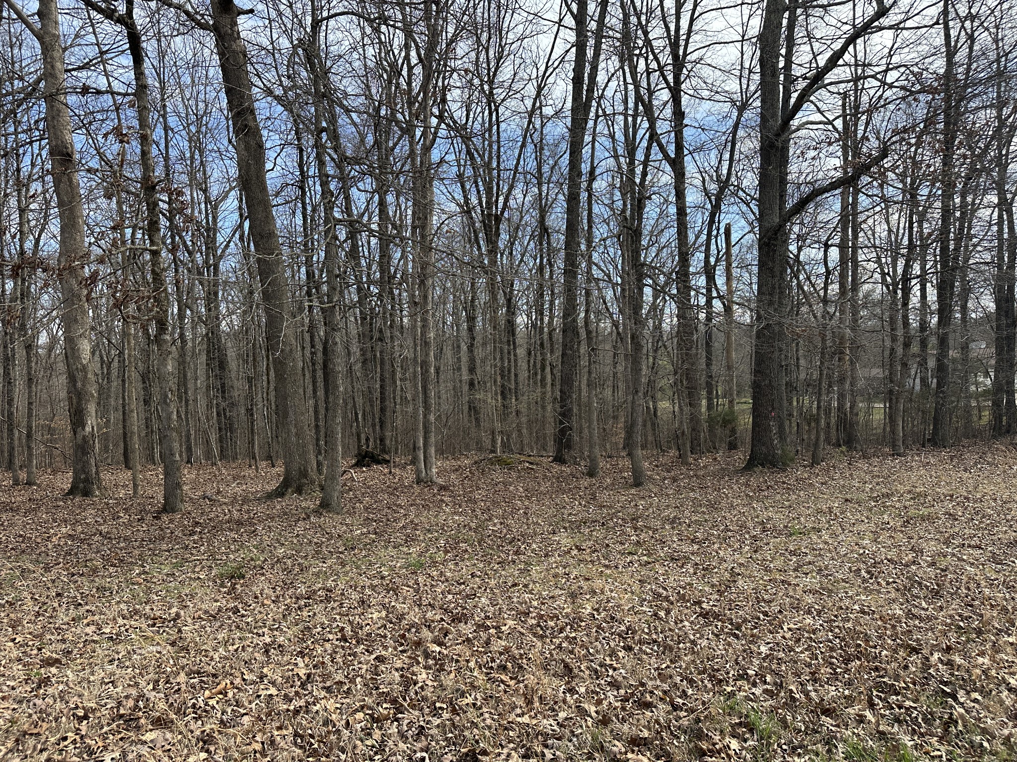 0 Rouse Road Dickson TN 37055