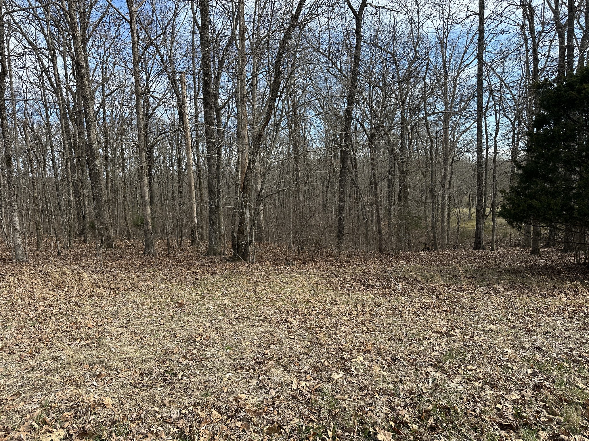 0 Rouse Road Dickson TN 37055