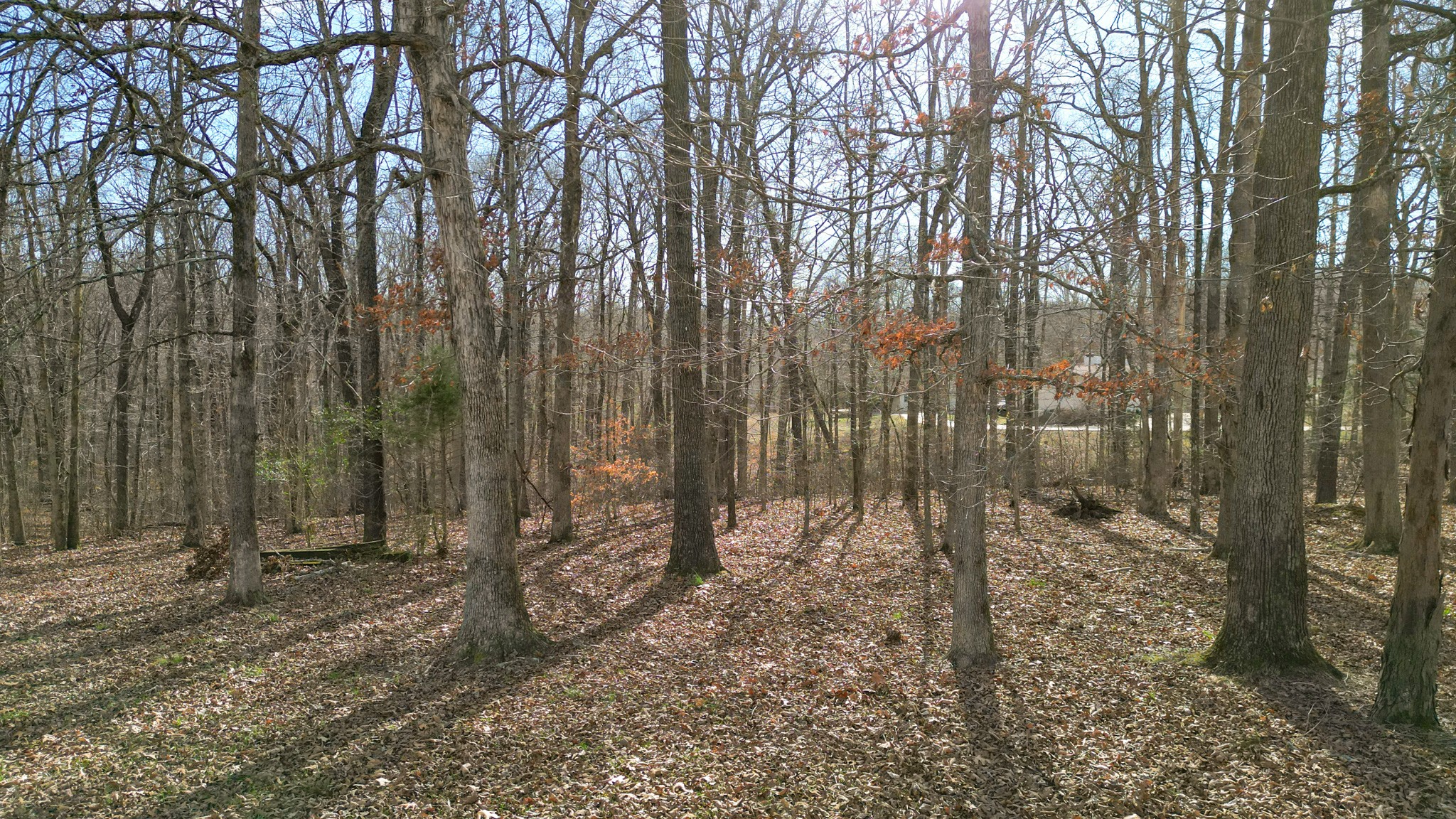 0 Rouse Road Dickson TN 37055