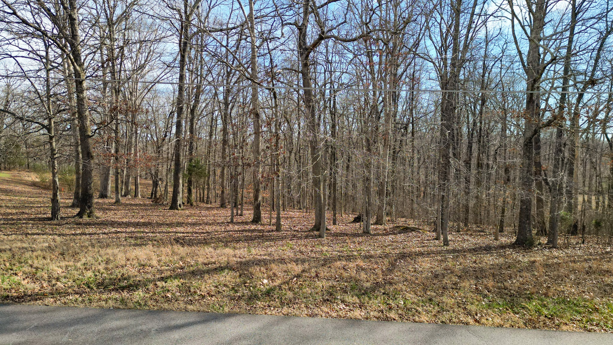 0 Rouse Road Dickson TN 37055
