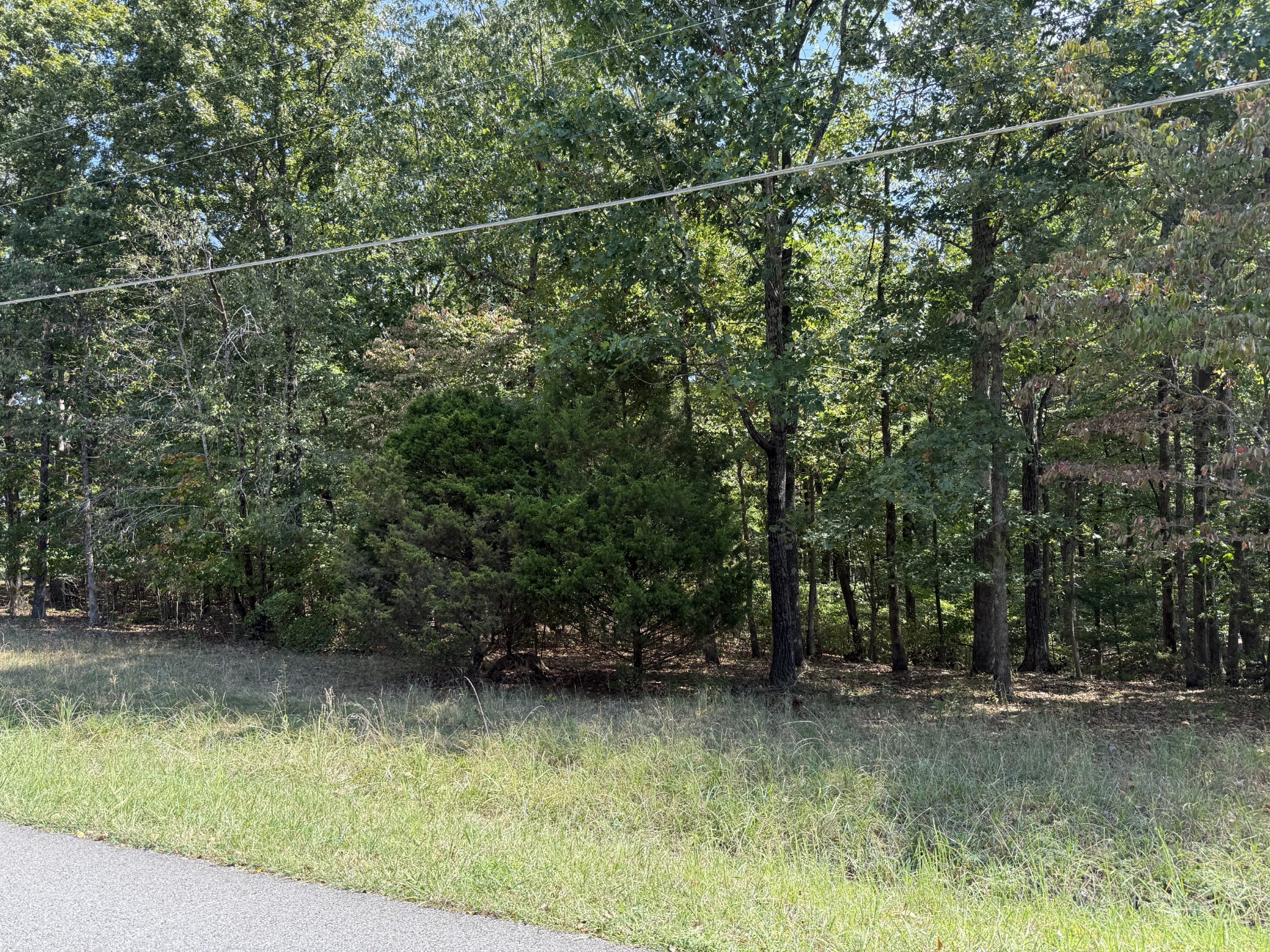 0 Rouse Road Dickson TN 37055