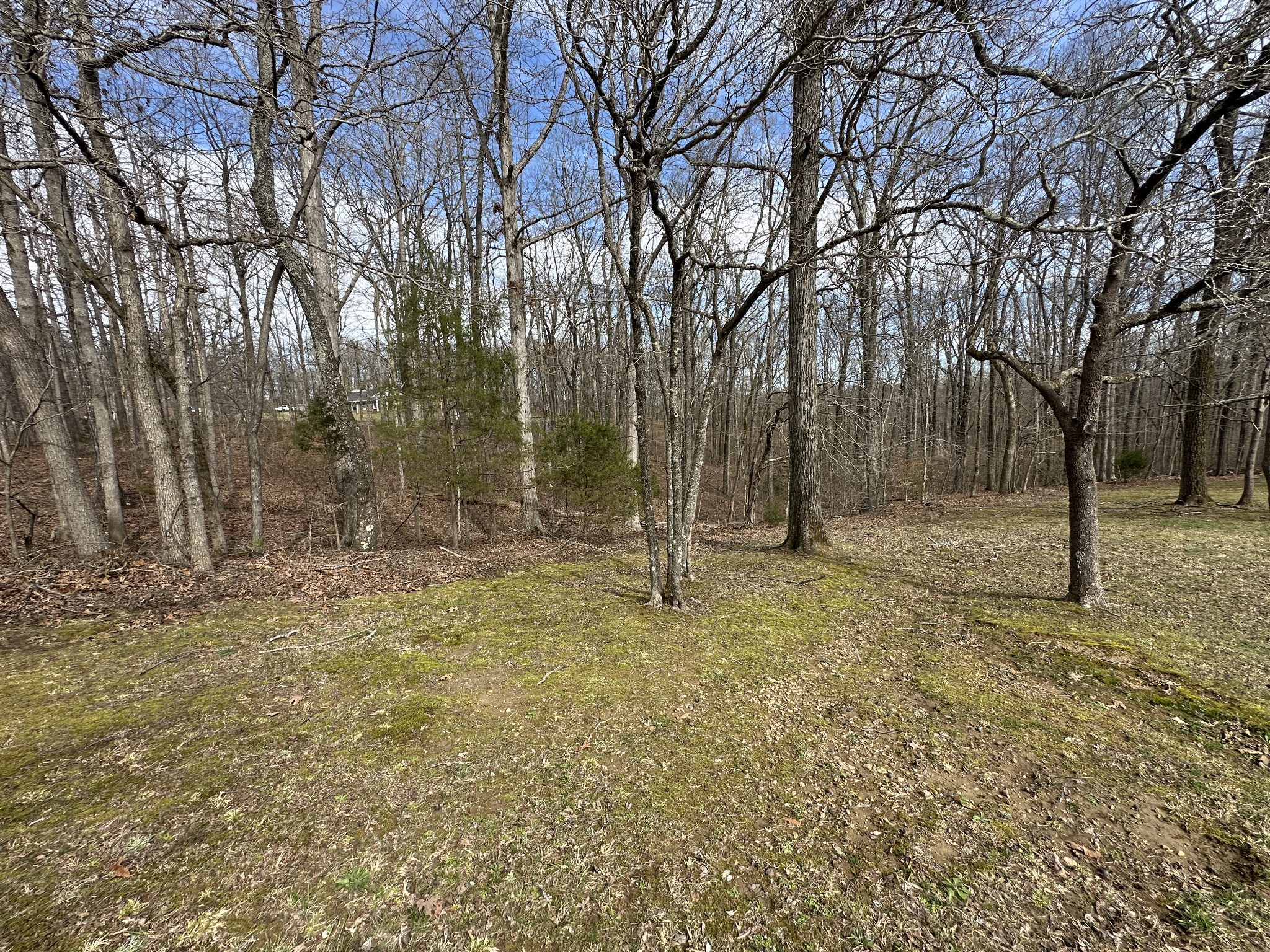 0 Rouse Road Dickson TN 37055