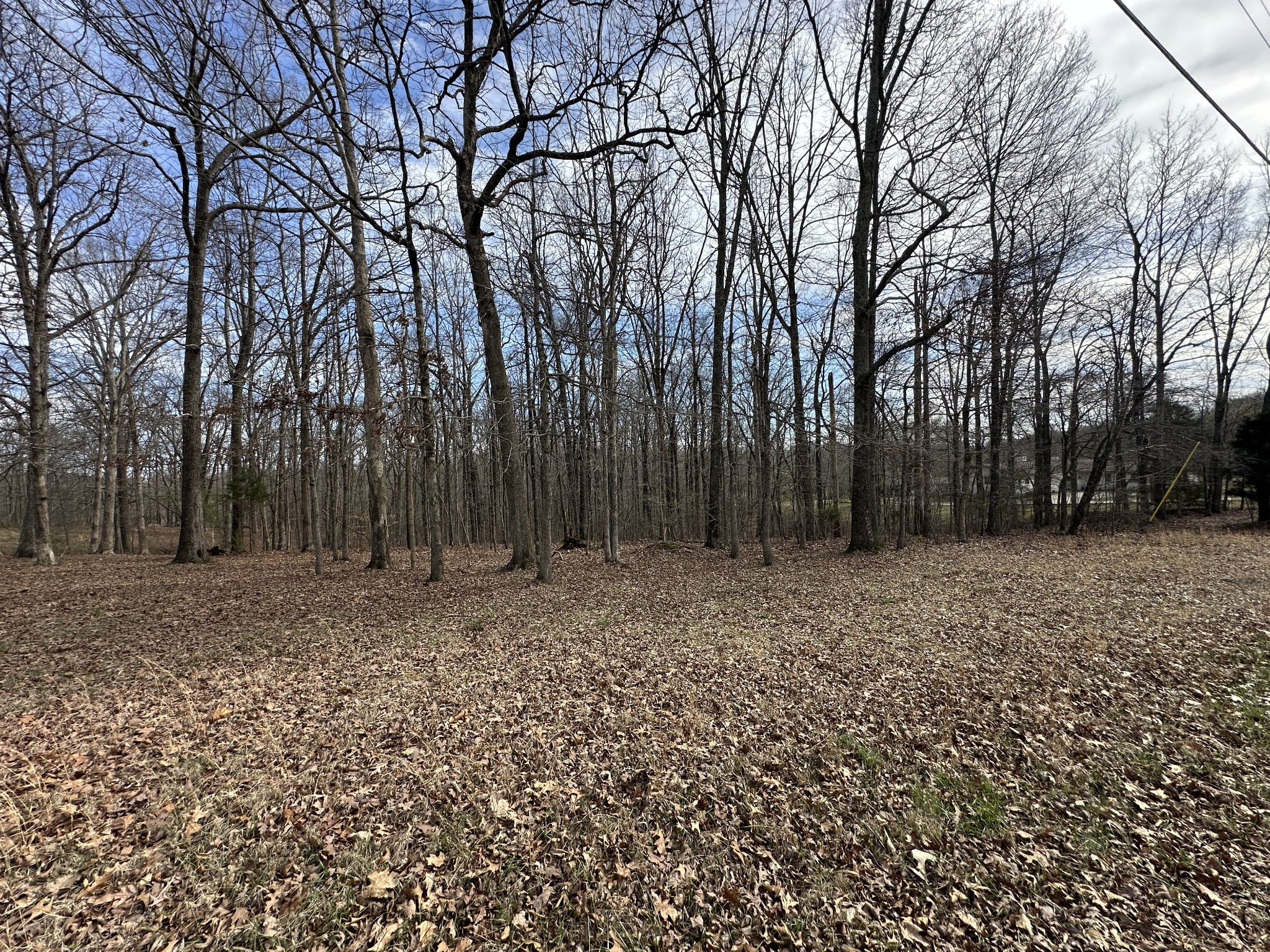 0 Rouse Road Dickson TN 37055