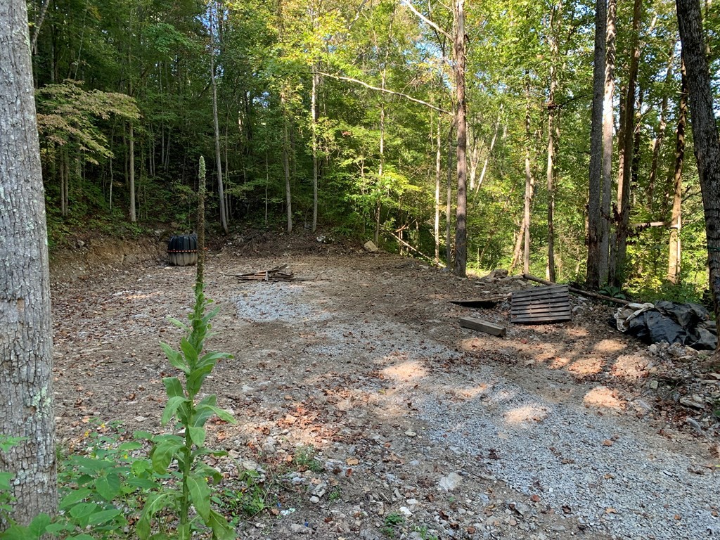 1029 E Obey Lane Wilder TN 38589
