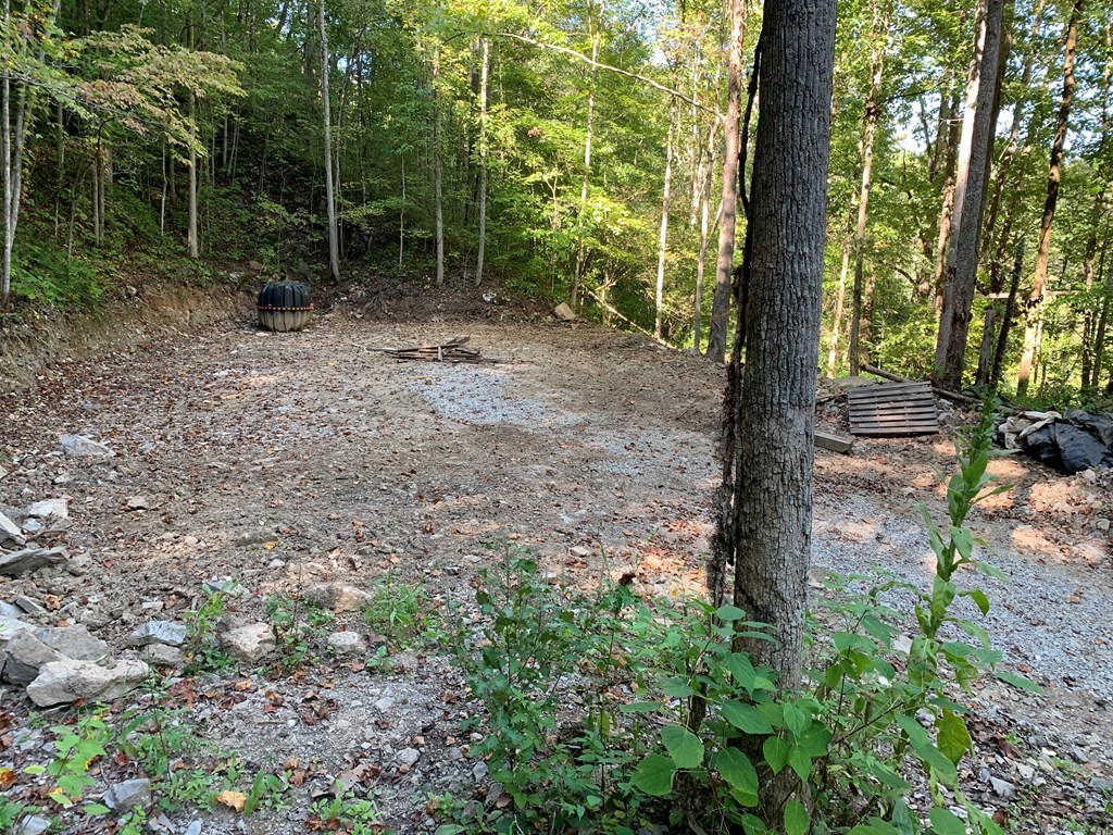 1029 E Obey Lane Wilder TN 38589