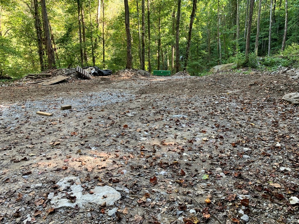 1029 E Obey Lane Wilder TN 38589
