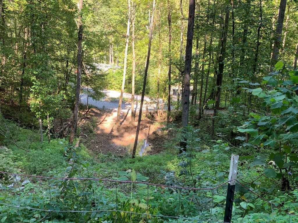 1029 E Obey Lane Wilder TN 38589