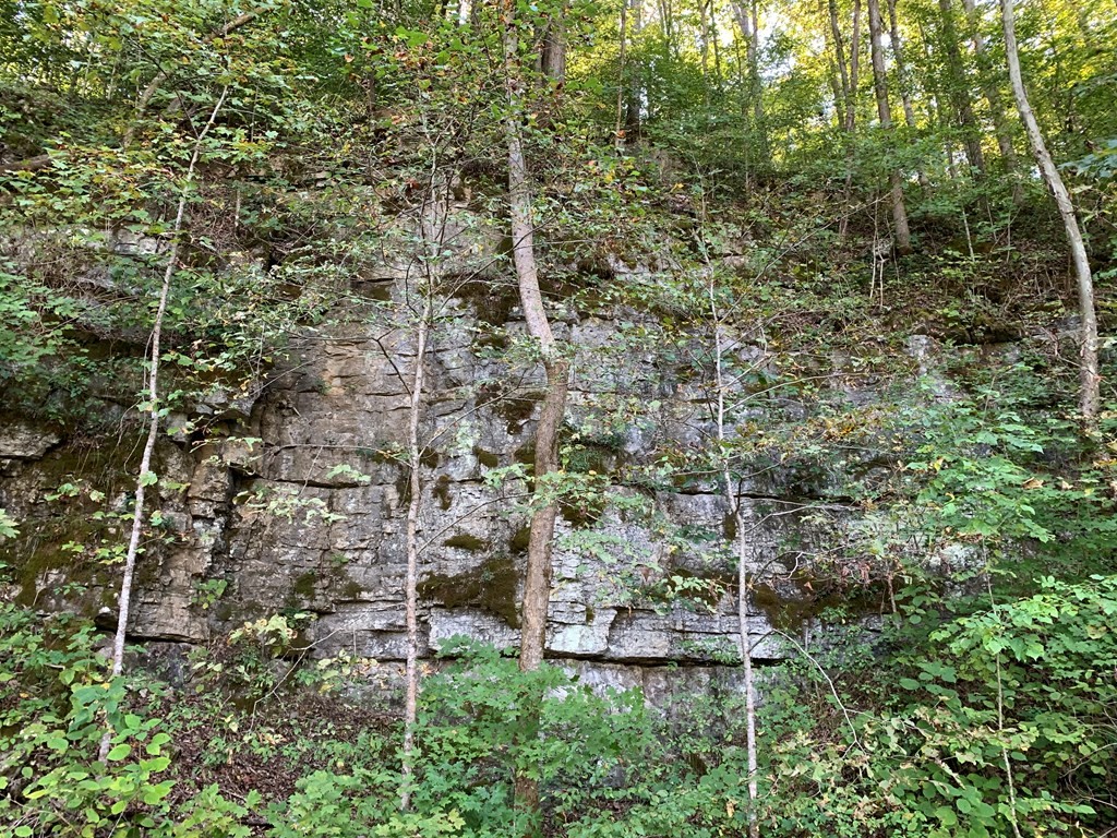 1029 E Obey Lane Wilder TN 38589