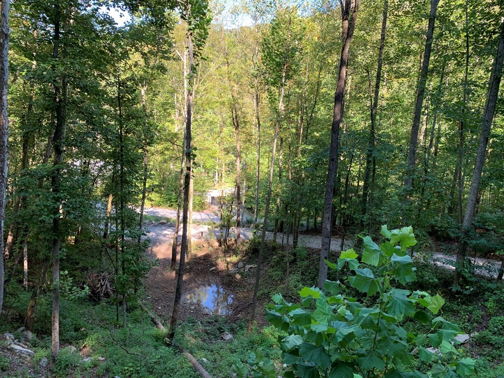 1029 E Obey Lane Wilder TN 38589