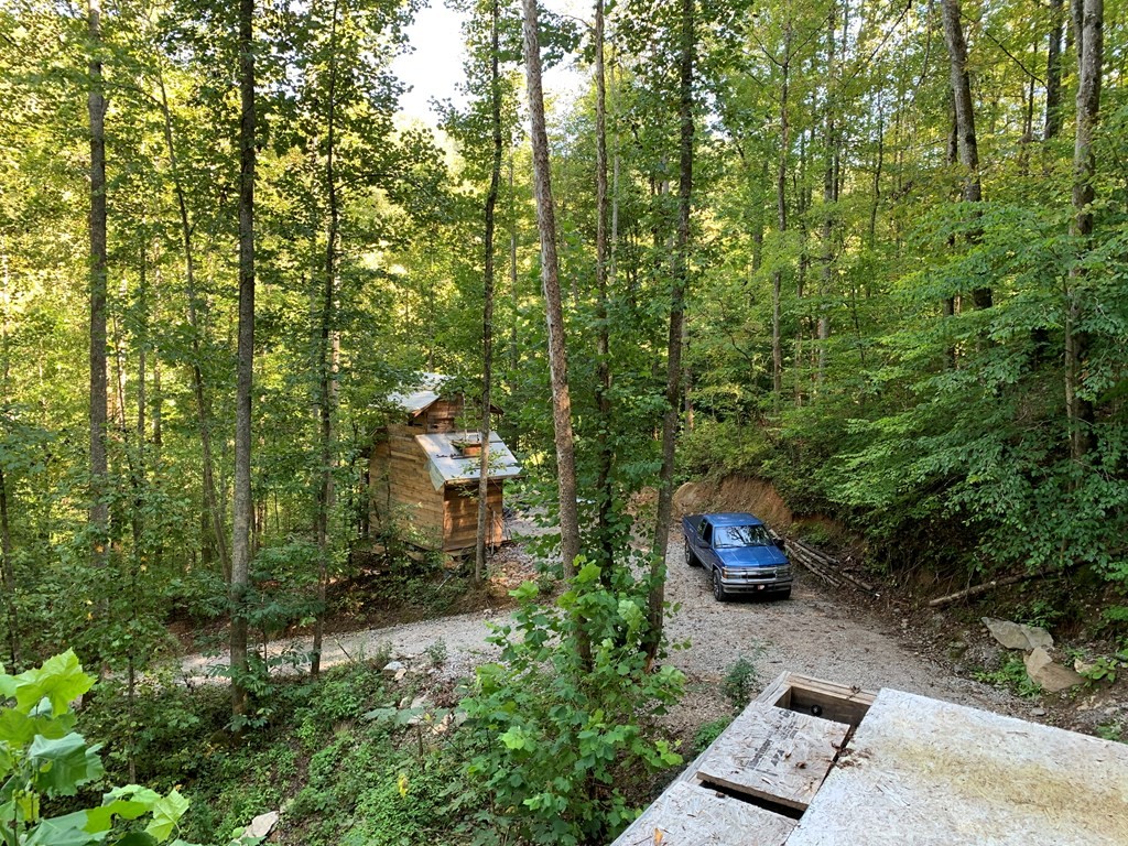 1029 E Obey Lane Wilder TN 38589