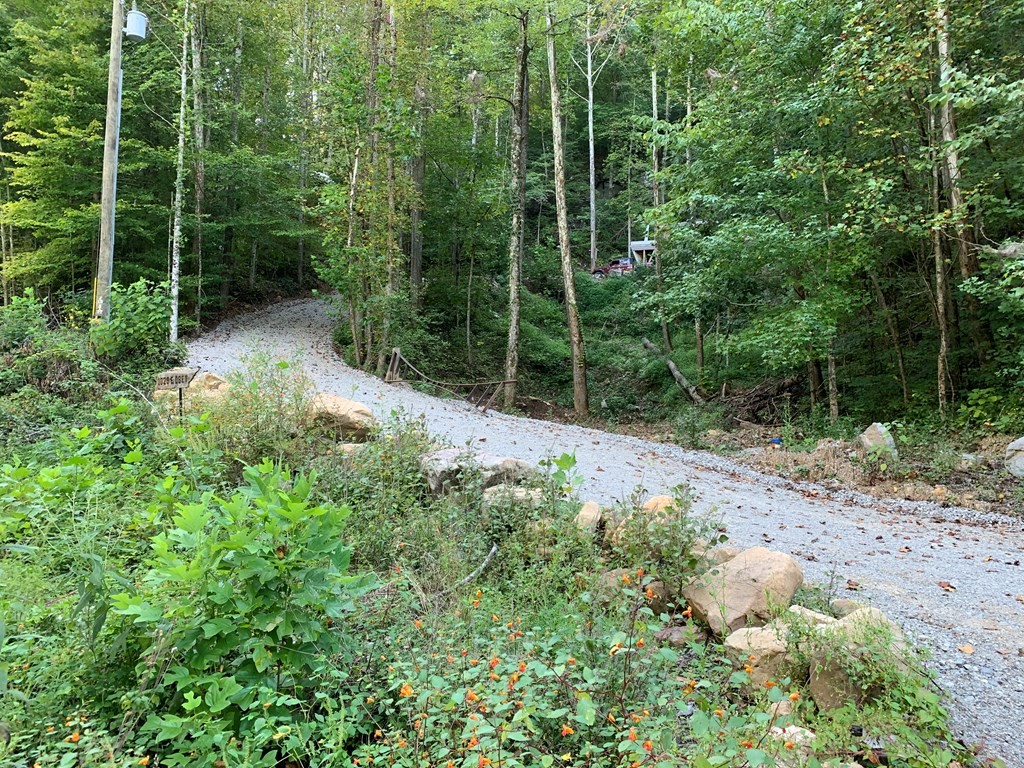 1029 E Obey Lane Wilder TN 38589