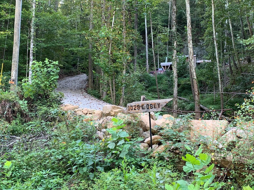 1029 E Obey Lane Wilder TN 38589