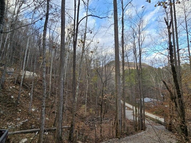 1029 E Obey Lane Wilder TN 38589