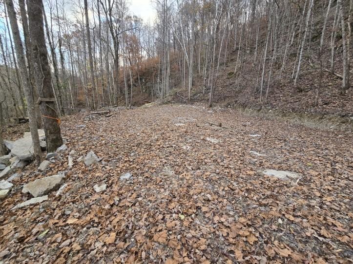 1029 E Obey Lane Wilder TN 38589