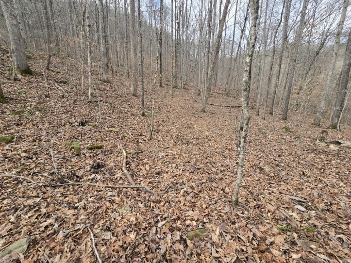 1029 E Obey Lane Wilder TN 38589