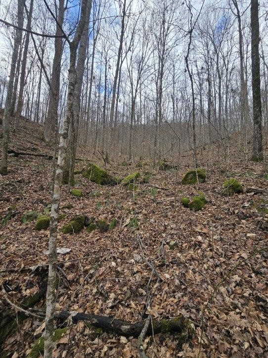 1029 E Obey Lane Wilder TN 38589