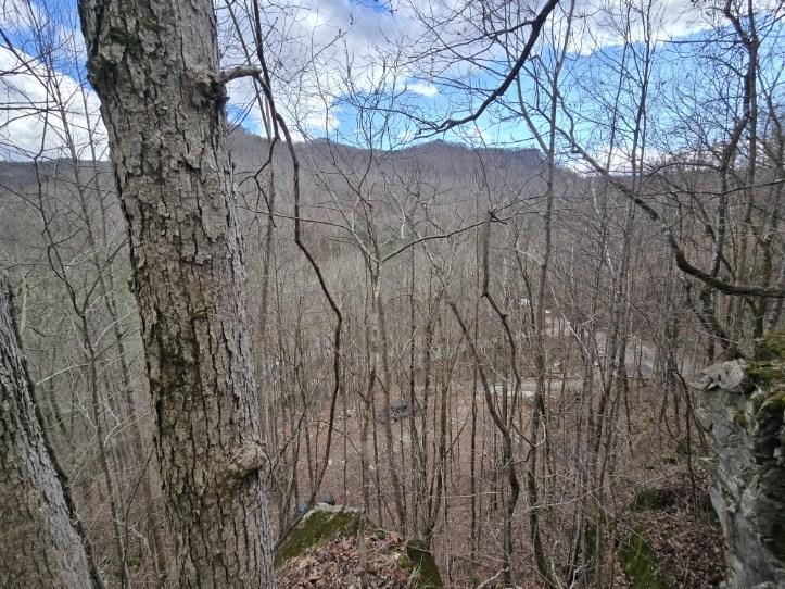 1029 E Obey Lane Wilder TN 38589