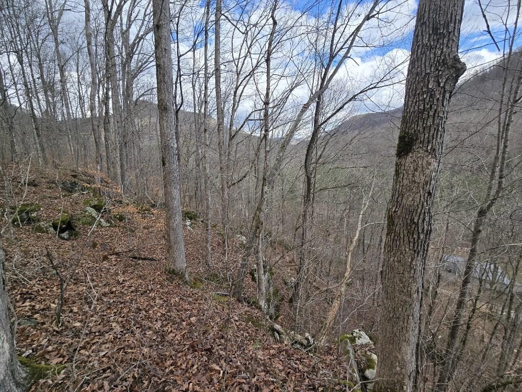 1029 E Obey Lane Wilder TN 38589