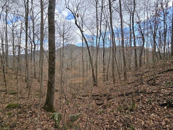 1029 E Obey Lane Wilder TN 38589