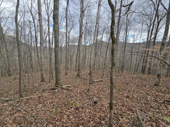 1029 E Obey Lane Wilder TN 38589