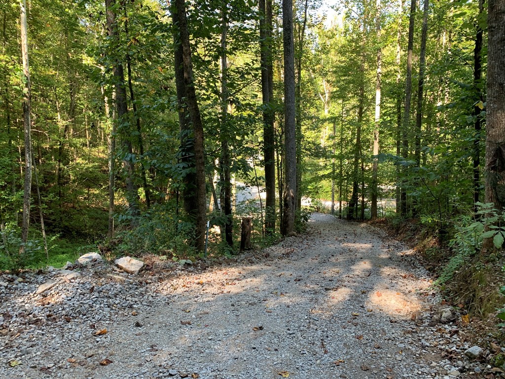 1029 E Obey Lane Wilder TN 38589