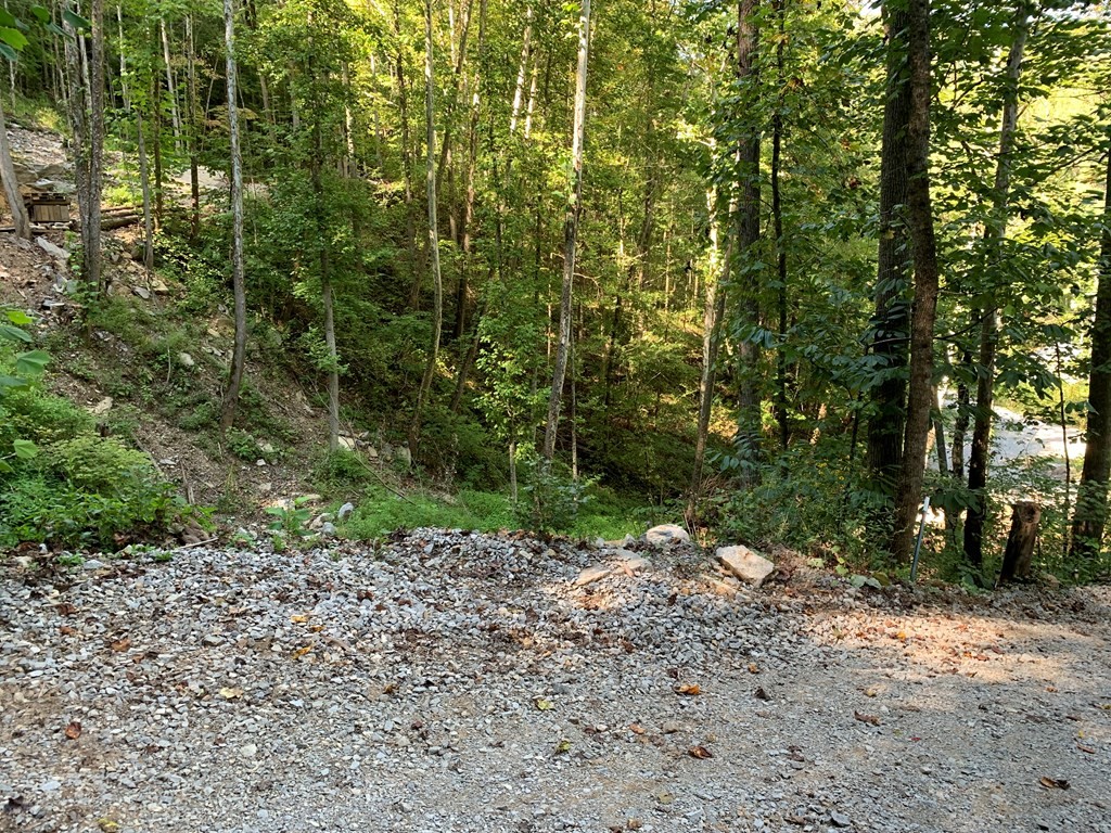 1029 E Obey Lane Wilder TN 38589