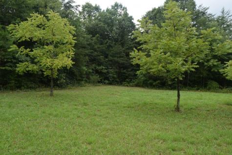 16226 Sr 50 Altamont TN 37301