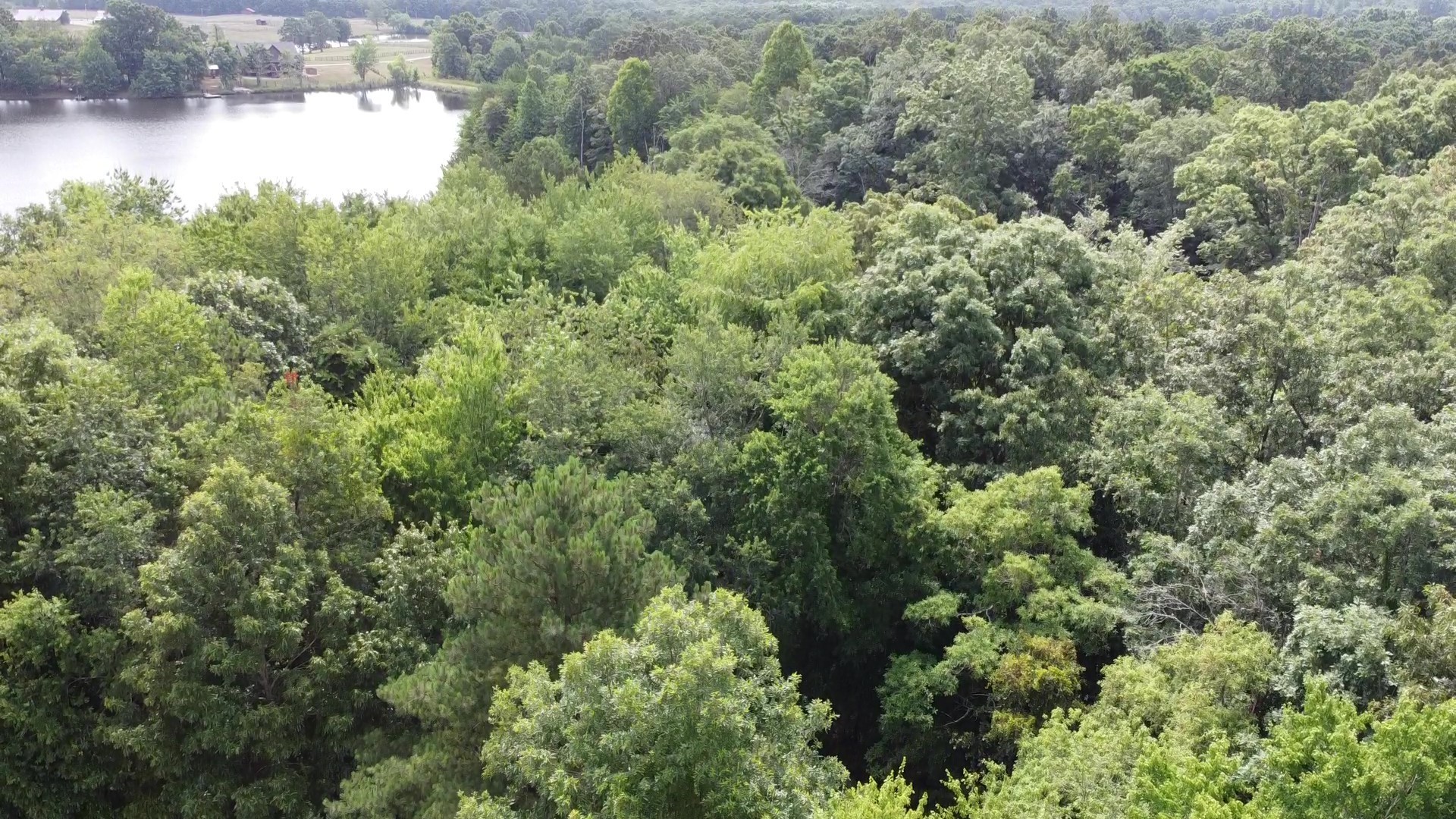 0 Bridle Trail Spencer TN 38585
