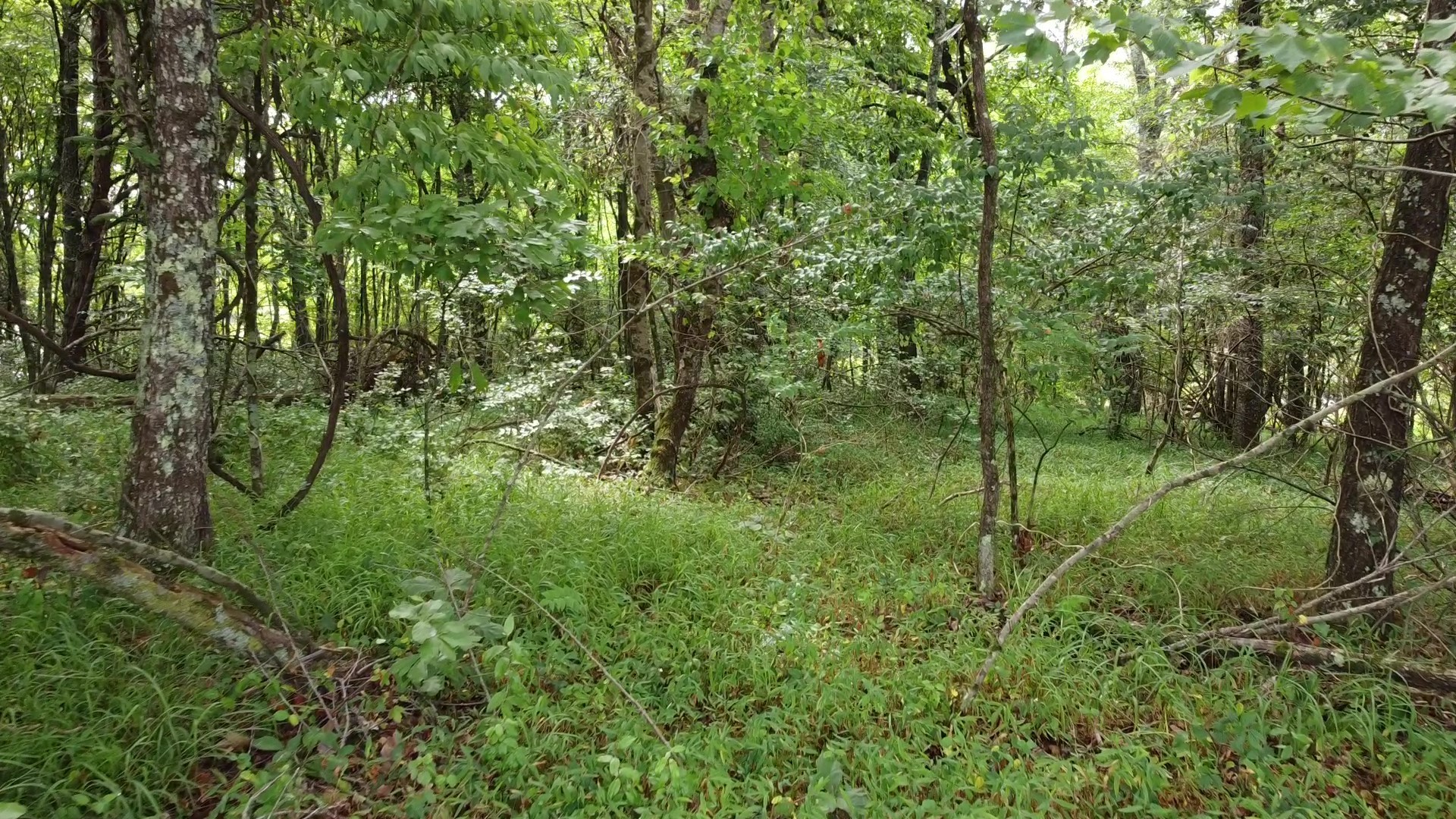 0 Bridle Trail Spencer TN 38585