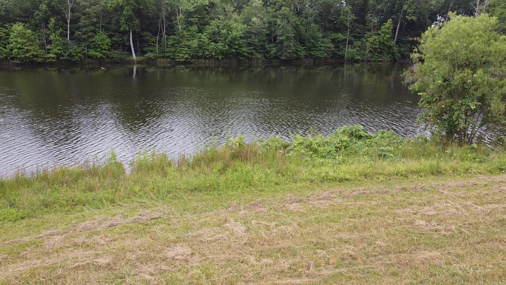0 Bridle Trail Spencer TN 38585