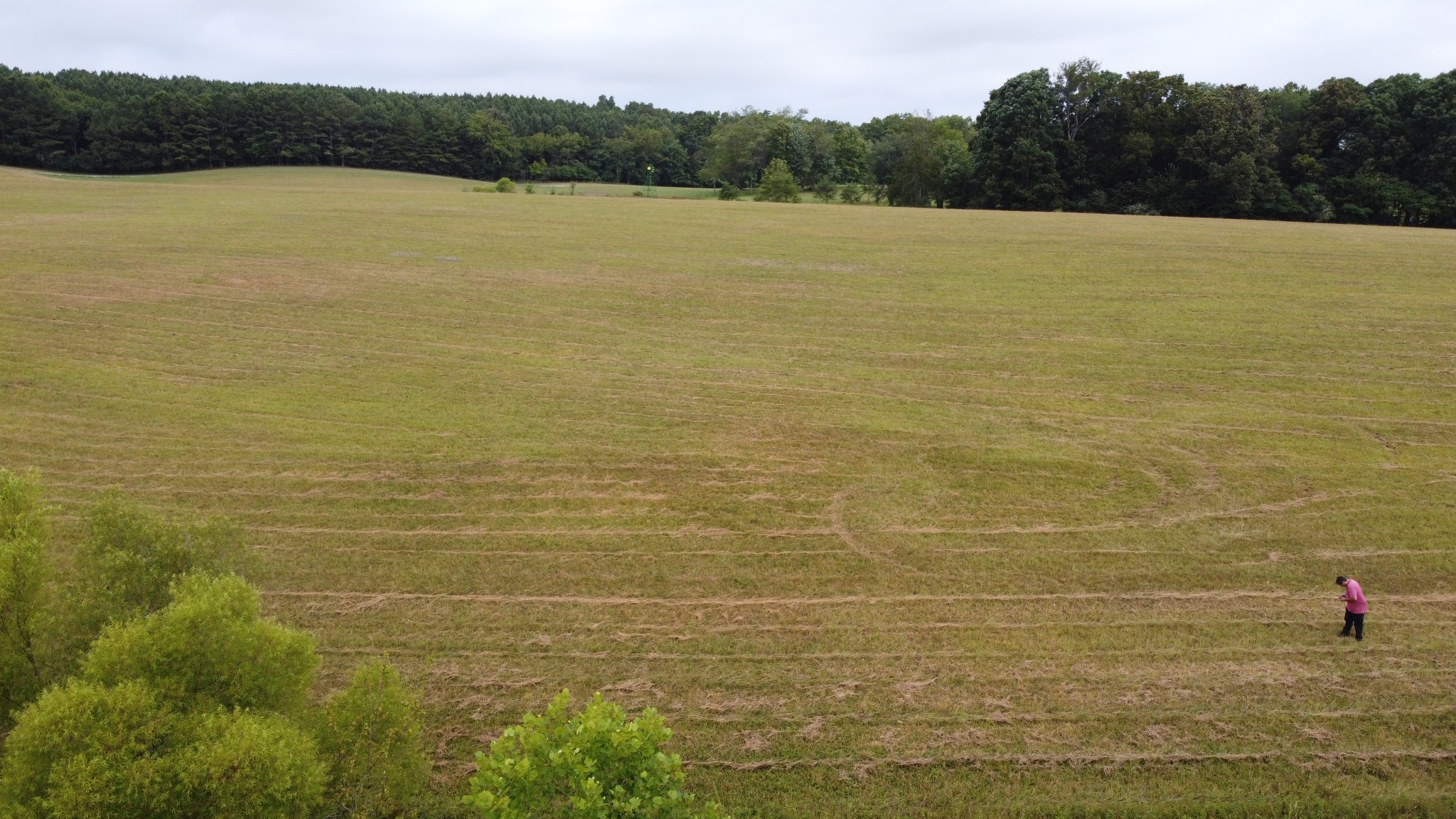 0 Bridle Trail Spencer TN 38585