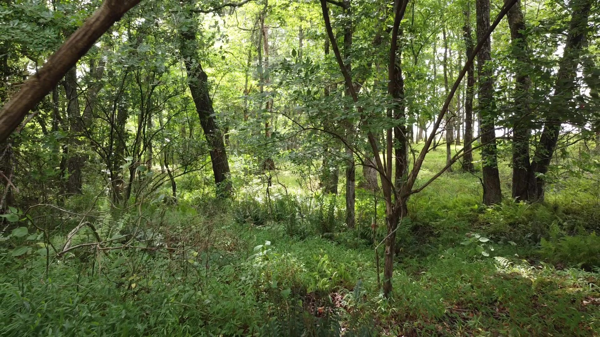 0 Bridle Trail Spencer TN 38585