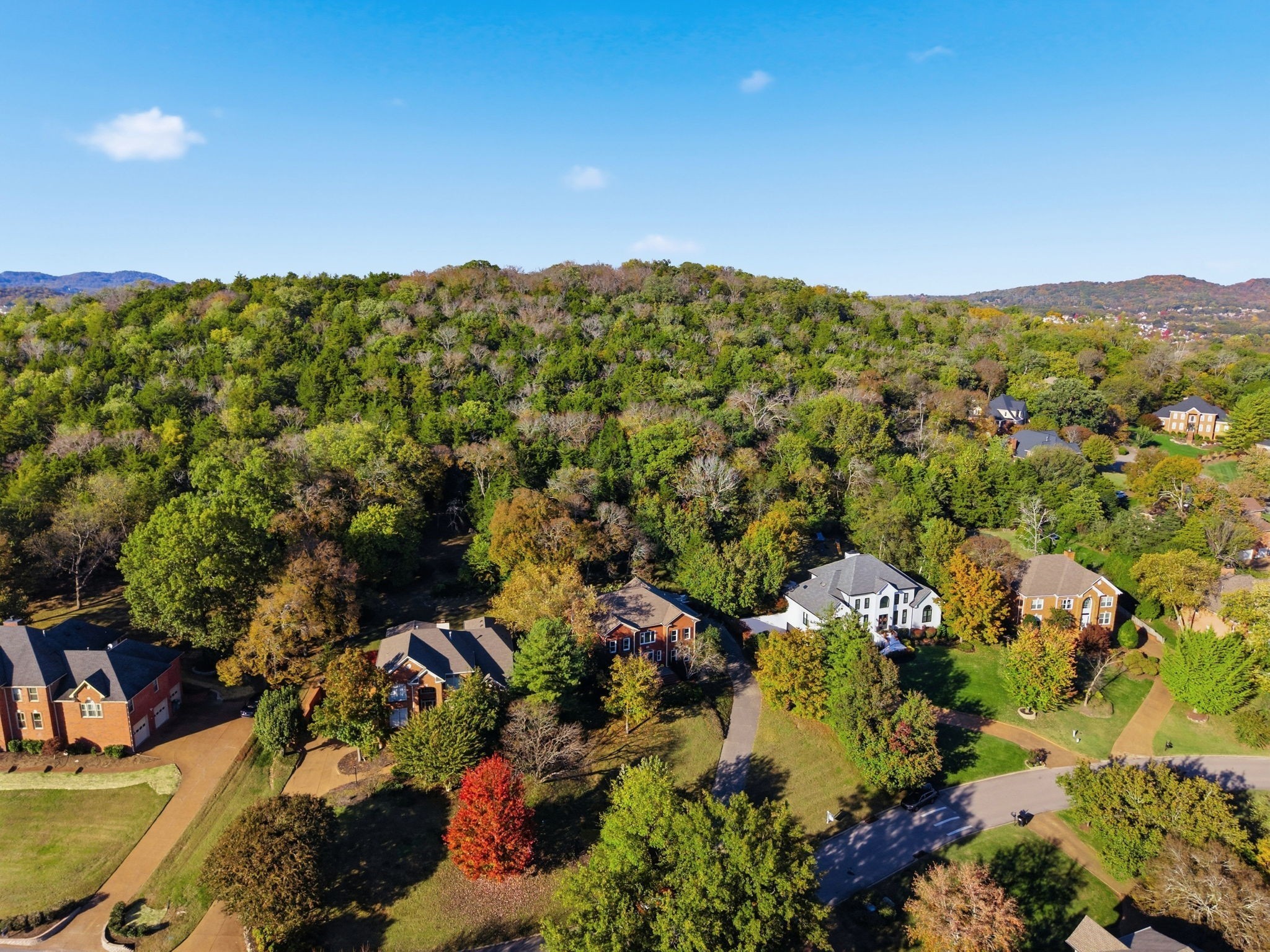 9404 Smithson Lane Brentwood TN 37027