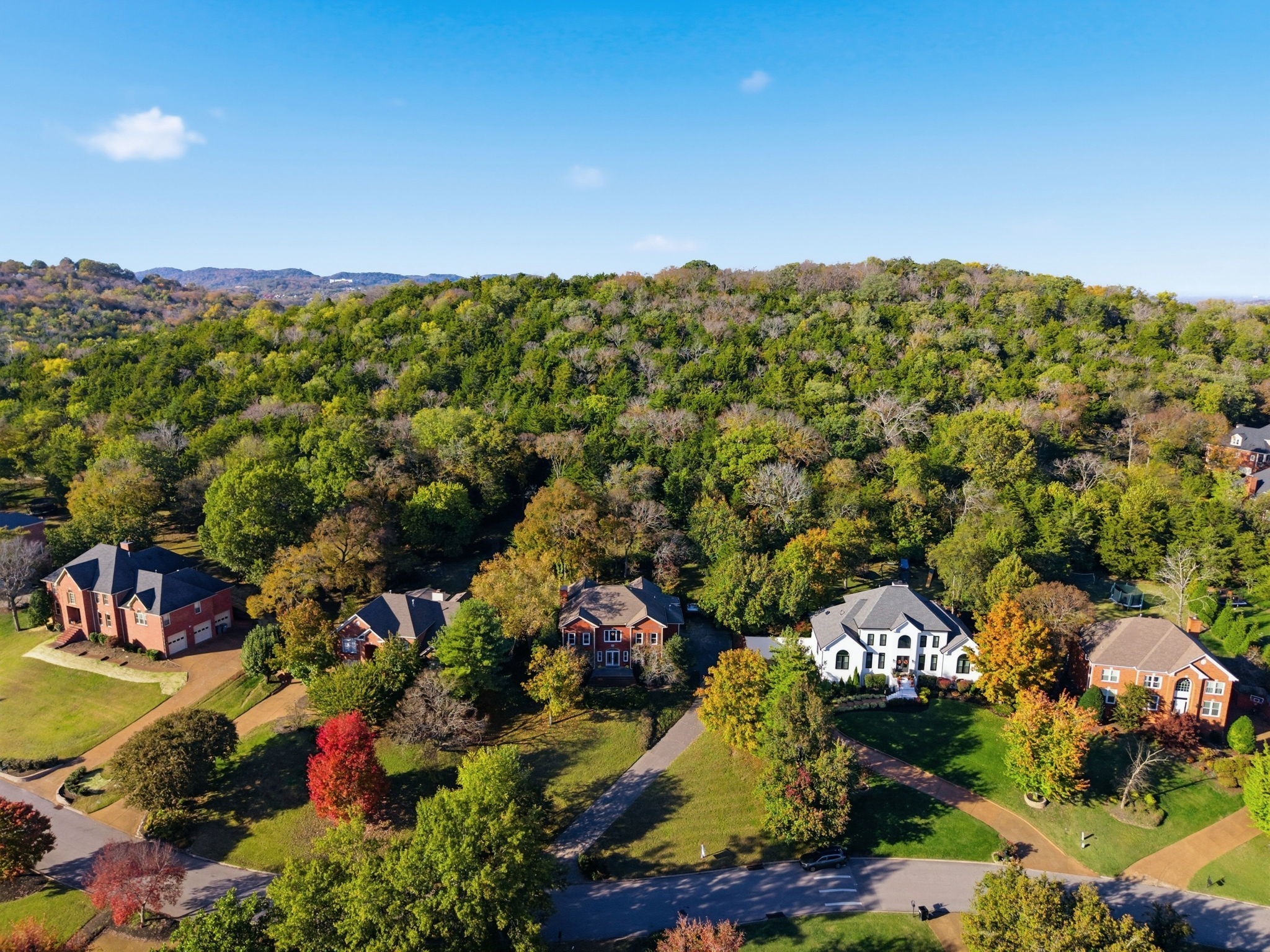 9404 Smithson Lane Brentwood TN 37027