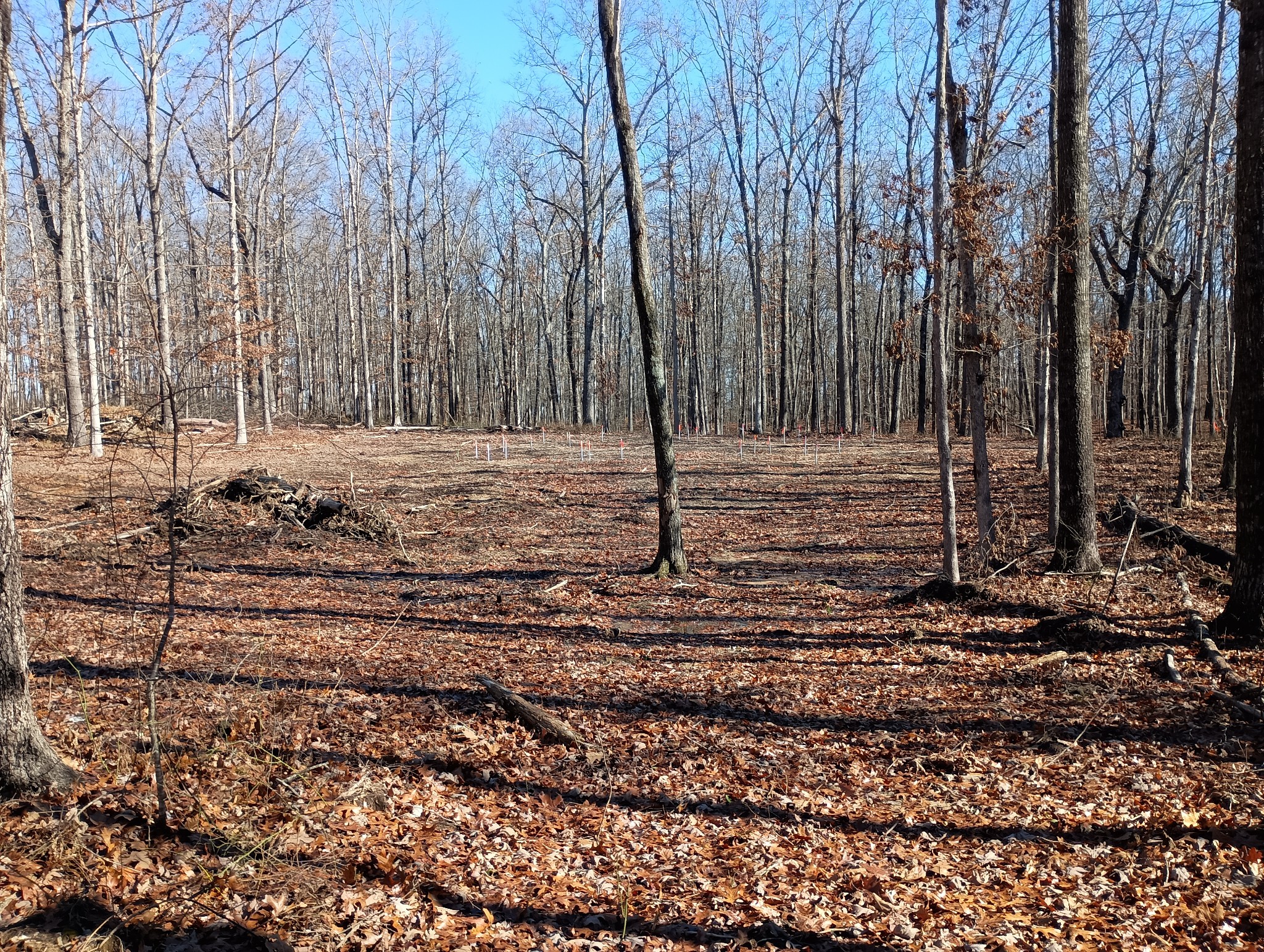 0 Laurel Lake Drive Monteagle TN 37356